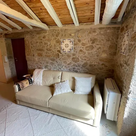 Casa Velha-Santiagofamilyhouse Villa Sever do Vouga Buitenkant foto